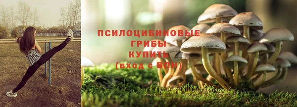 метадон Аркадак