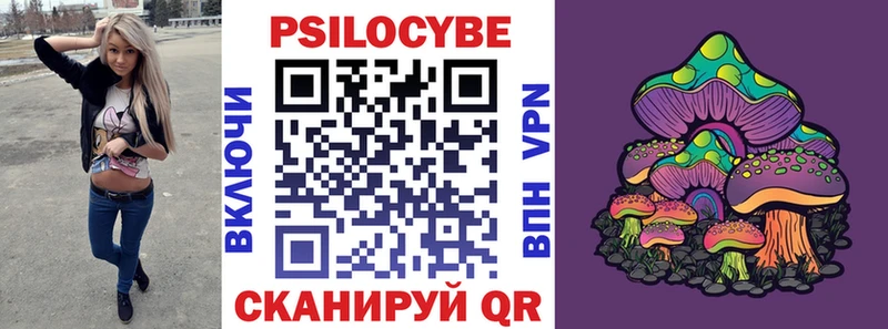 omg зеркало  Печоры  Псилоцибиновые грибы Psilocybe 