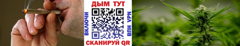 Бошки Шишки планчик Печоры